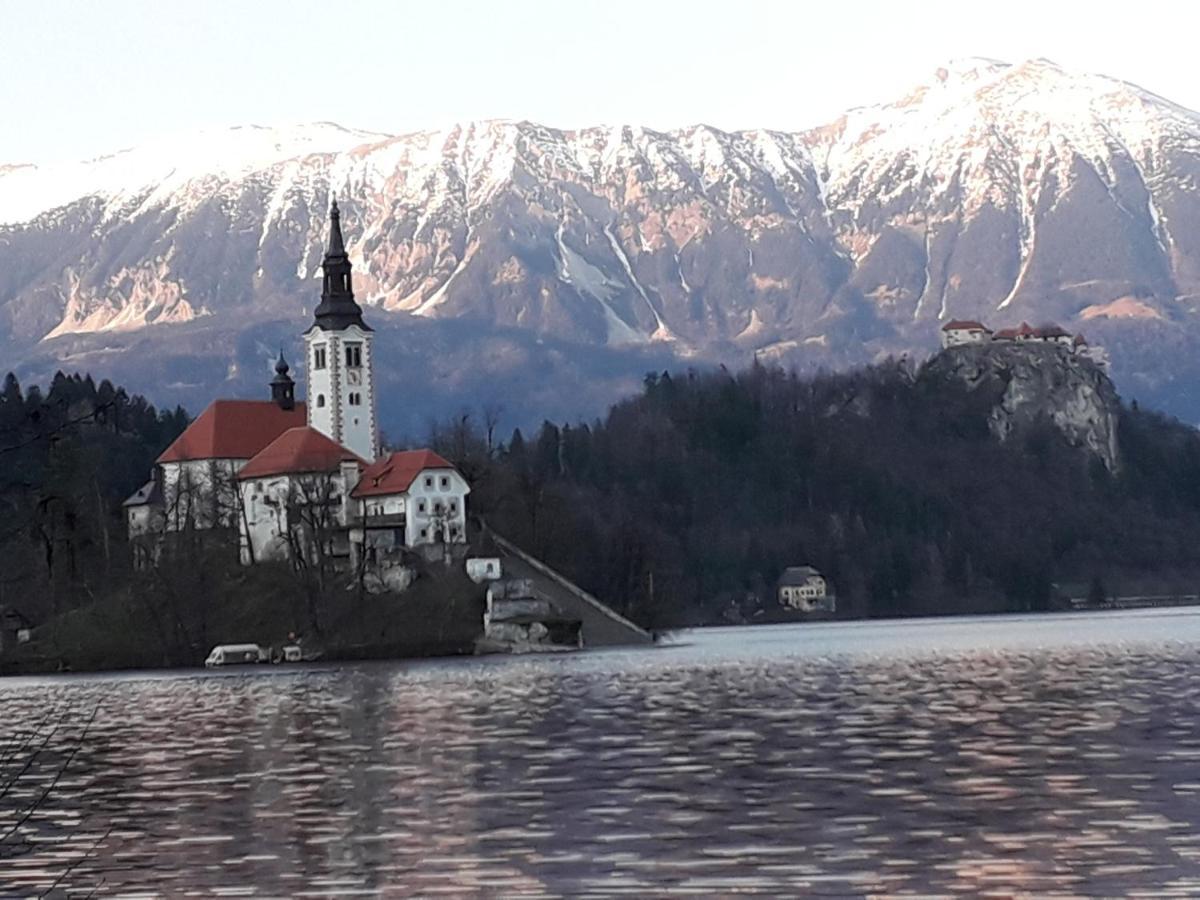 Alp Glamping Village Radovljica Eksteriør billede
